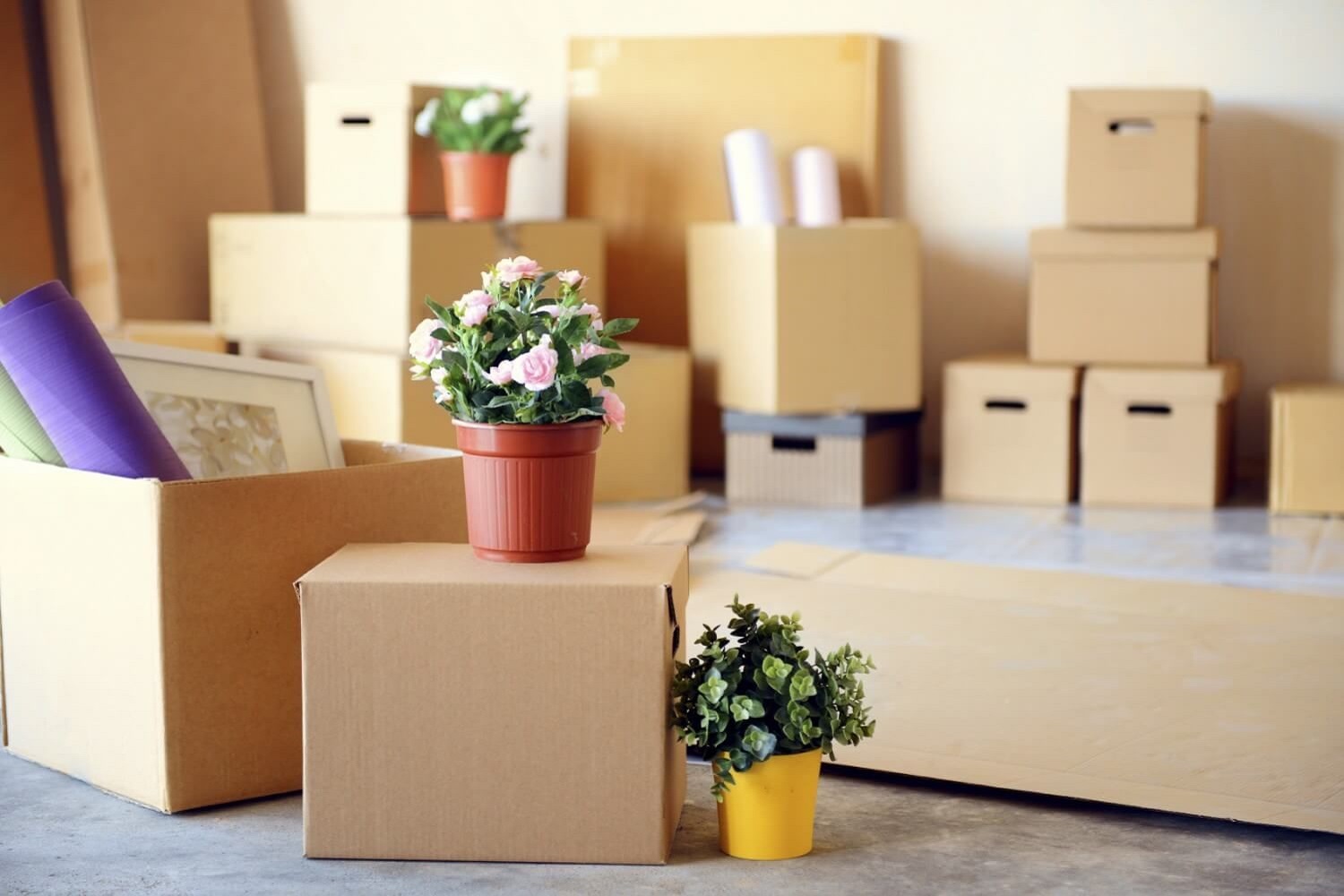 Movers and packers Abu Dhabi