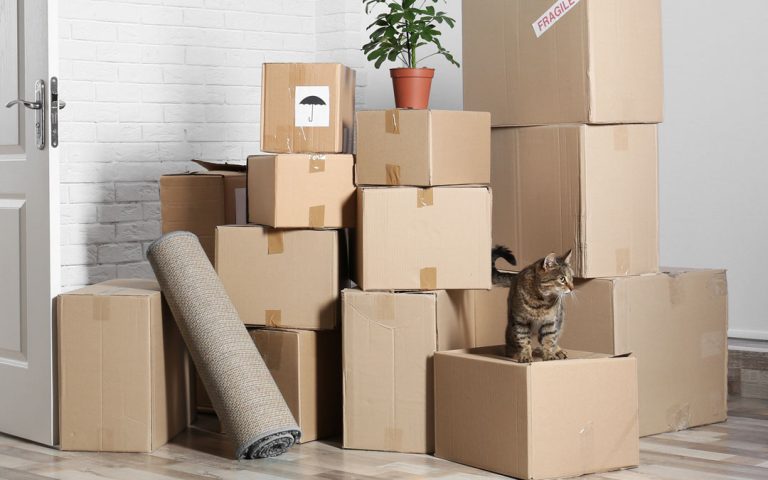 Choosing the Right Home Moving Company