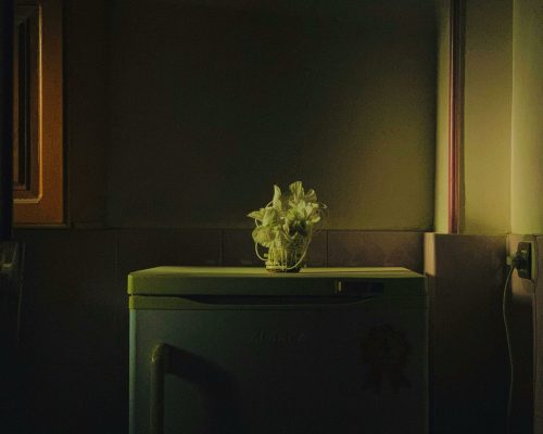 pexels-abdlrazik™-_-مُصطفىٰ-17386217